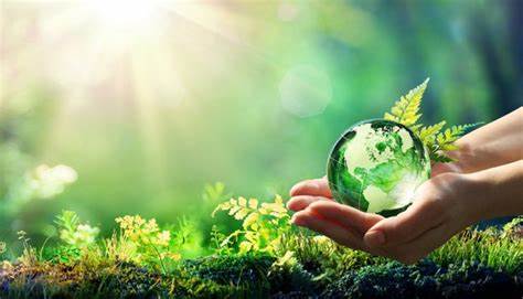 Sustainable environment a universal right: UN Human Rights Council